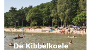 Kibbelkoele